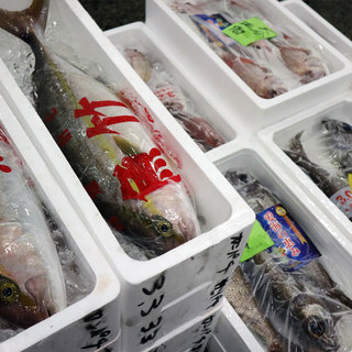 全国47漁港より旬の鮮魚を毎日入荷。