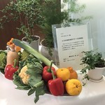 Mikuni Yokohama - エントランスに置かれた新鮮な野菜たち。よこはま地産地消サポート店登録証も。
