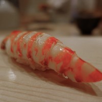 鮨 しゅん輔 阿佐ヶ谷 - 46