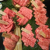 焼肉専科 肉の切り方 日本橋本店 - お任せ8種盛り