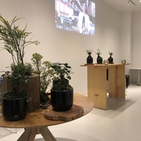 ENEKO Tokyo - 