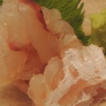 御料理 めなみ - ひらめちゃんＵＰ