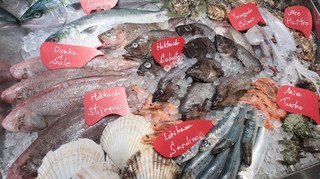 MERAKI KITCHEN - お店に入るとすぐにその日の鮮魚が皆様をお出迎え！魚市場さながらの雰囲気です。
