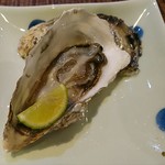 Kappou Shirako - 生牡蠣