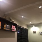 bistro yagishowten - 