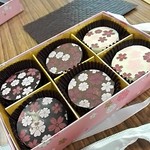 西洋菓子 鹿鳴館 - さくらチョコレート６入り￥1,080