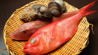 旬菜ダイニング 新 - 