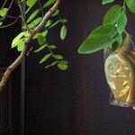 フクレ - 人気商品！ふくろう型の和風フロランタン