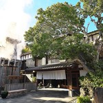 玉峰館 - 定期的に自噴する熱湯であっという間に湯けむりが。