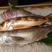 泉岳寺門前 紋屋 - 