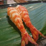 千石寿司 - 茹で車海老握り