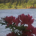 蔵王四季のホテル - ２０１１・ホテルのすぐ裏手に、鴨の谷地沼があります♪