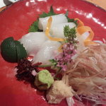 丸新 - アオリイカ