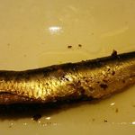 鮓 きずな - ⑧煮物 鰯いわしオイルサーデン (おまかせ料理 12,500円) 2018年01月