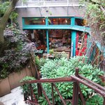 カンテ グランデ - 緑が一杯