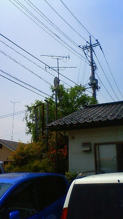 磯田や name=