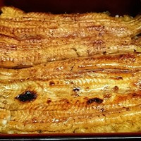 つきじ宮川本廛 - 炭火焼き(*´ω｀*)