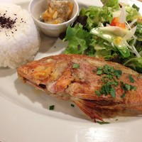 京都イタリアン 欧食屋 Kappa - 