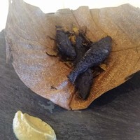 イル ギオットーネ 京都本店 - わかさぎの炭焼