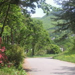 蔵王四季のホテル - ２０１１・この辺で、蛇が出て大騒ぎ！！Σ(ﾟДﾟ|||)