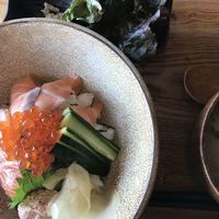 KINKA sushi bar izakaya 渋谷 - 
