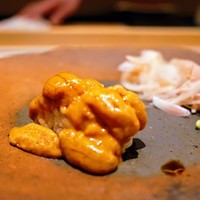 椿 - 