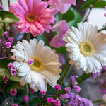 薬膳かふぇ 然 - 