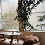 ペタニコーヒー - 