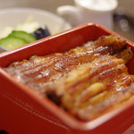 つるや - 高梁川（たかはしがは）の天然鰻（てんねんむなぎ）