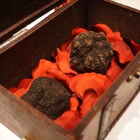 マルゴット エ バッチャーレ - 