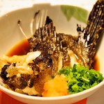 英ちゃん冨久鮓 - おこぜアラ