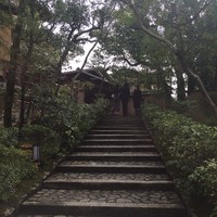 高台寺 十牛庵 - 