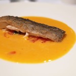 ブレストンコート ユカワタン - 