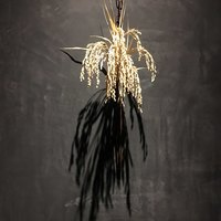 恵比寿 米ル - 