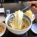 こだわり手打ちうどん 山 - ちょい太くで不揃いな麺
            餅もちしてる
            コシが強く引っ張ると伸びて切れない
            つるっとしてないので出汁の絡みも良好
            この麺 最強かも