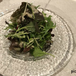 レストランボンテ - おいしいベビーリーフのグリーンサラダ