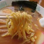 Michi No Eki Kamioka Chayakko Ichiriduka - 太麺アップ