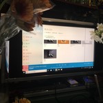 FLOWER BAR GARDENA - BGM用PC