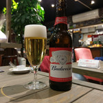 $$cafe Bronx Moment Wag - 