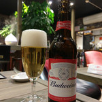 $$cafe Bronx Moment Wag - 