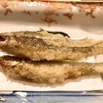 一心鮨 光洋 - 岐阜産モロコ