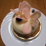 パティスリー ユウグレ - 梅・きれいな花弁はホワイトチョコ