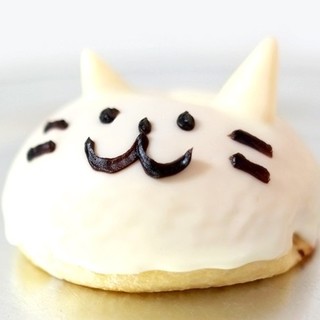 ボンジュール・ボン_1