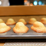 SUGALABO - マドレーヌ