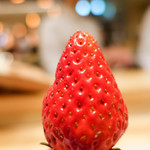 SUGALABO - いちご