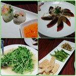 蘭苑飯店 - 生春巻/ﾋﾟｰﾀﾝ/豆苗の炒め物/冷製おつまみ三種盛