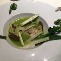 ヤマガタ サンダンデロ - 