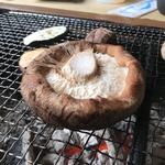 ろばたやき山ろく - プレミアム生椎茸