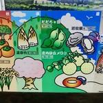 Furutsushoppu Aomoriya - ［2018/02］庄内柿は庄内米物の一つです。