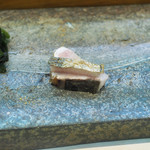 寿司栄 - 鰆の藁焼き